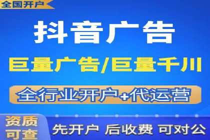 百度竞价广告投放全解析：成功案例揭秘